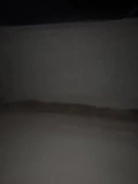 Arab tribesmen have taken control of the town of Gharanij in the eastern Deir ez-Zor countryside.